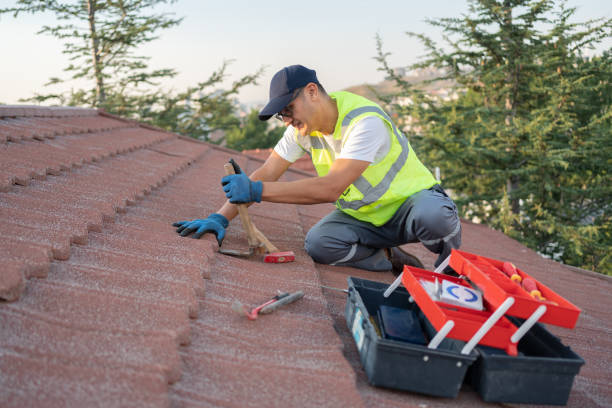 Best Sheet Metal Roofing  in High Rolls, NM